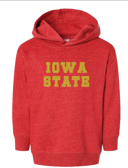 STATE TEAMS HOODIE